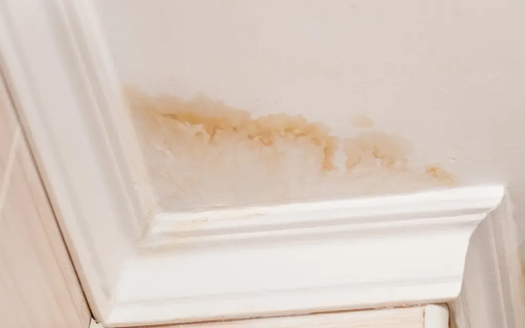 Trico Painting Before You Paint to Hide Ceiling Stains: Know What Actually Works (and What Doesn't) paint to hide ceiling stains