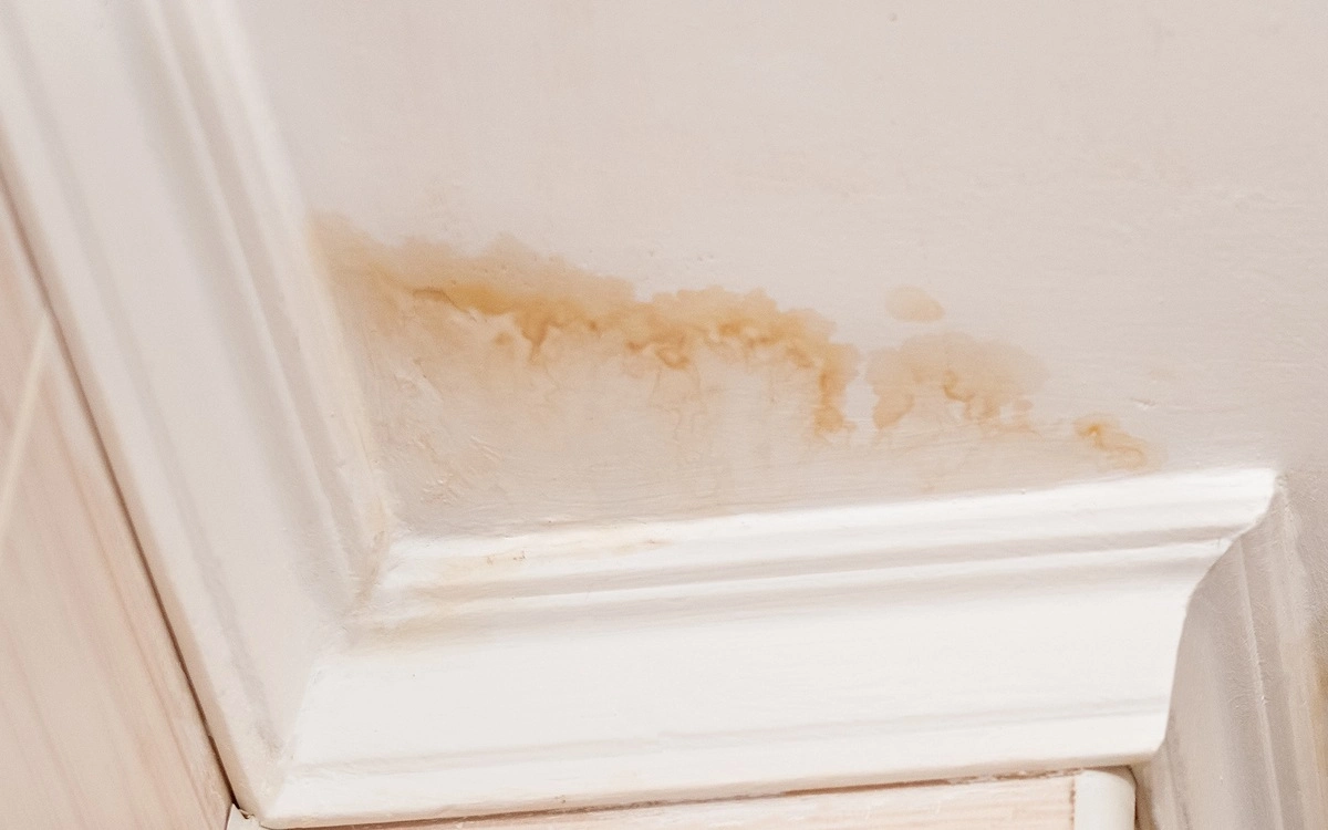 Trico Painting Before You Paint to Hide Ceiling Stains: Know What Actually Works (and What Doesn't) make builder-grade cabinets look custom