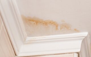 paint to hide ceiling stains