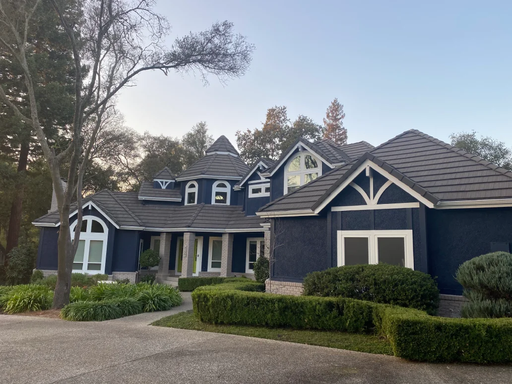 Trico Painting Folsom