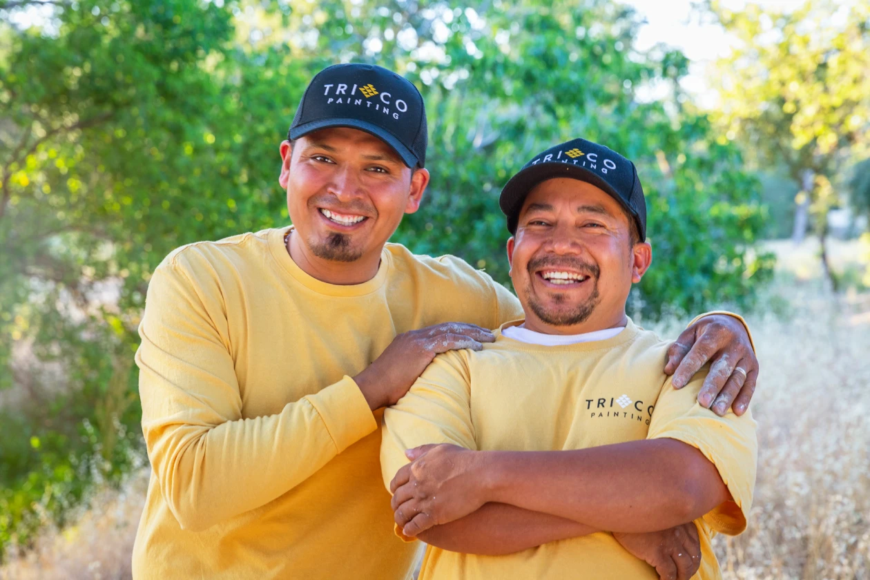 Trico Painting Interior House Painting